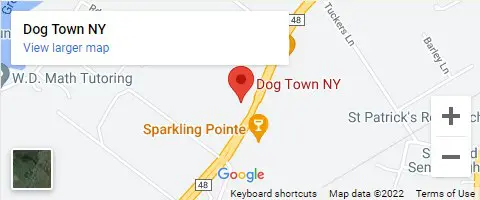 Dog Town NY